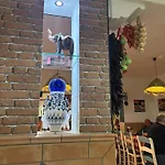 Πανσιόν Guadalupe By On-line