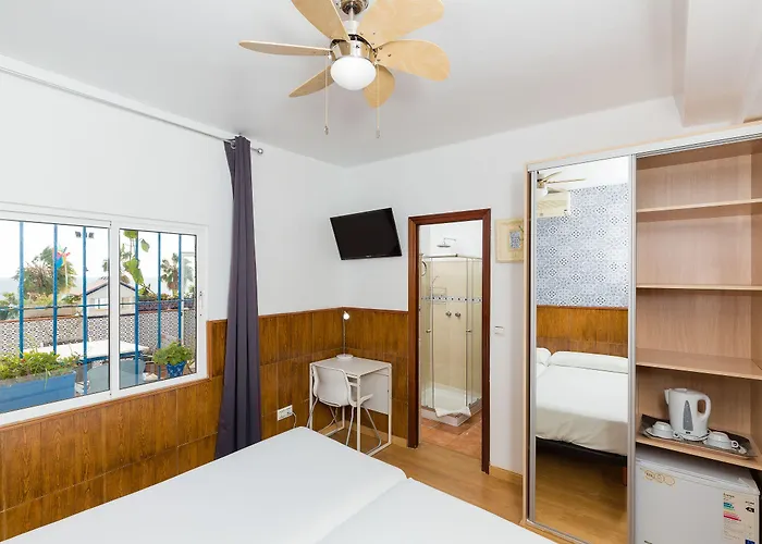 Guadalupe By On-line 2*