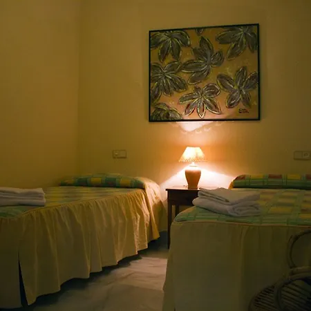 Pensión Guadalupe Cozy 2*